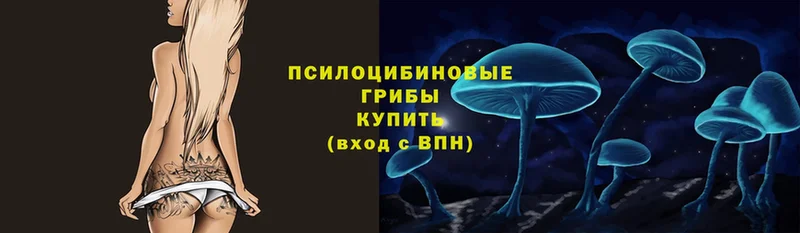 Галлюциногенные грибы MAGIC MUSHROOMS  Тюмень 